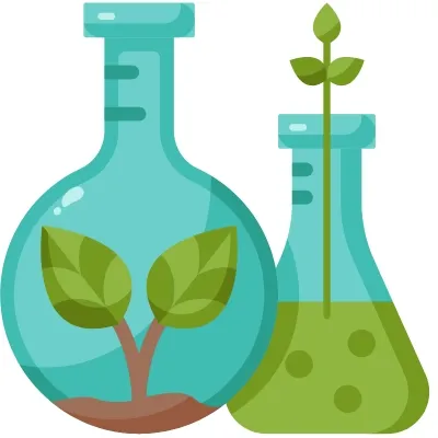 Dictado del club de ciencia